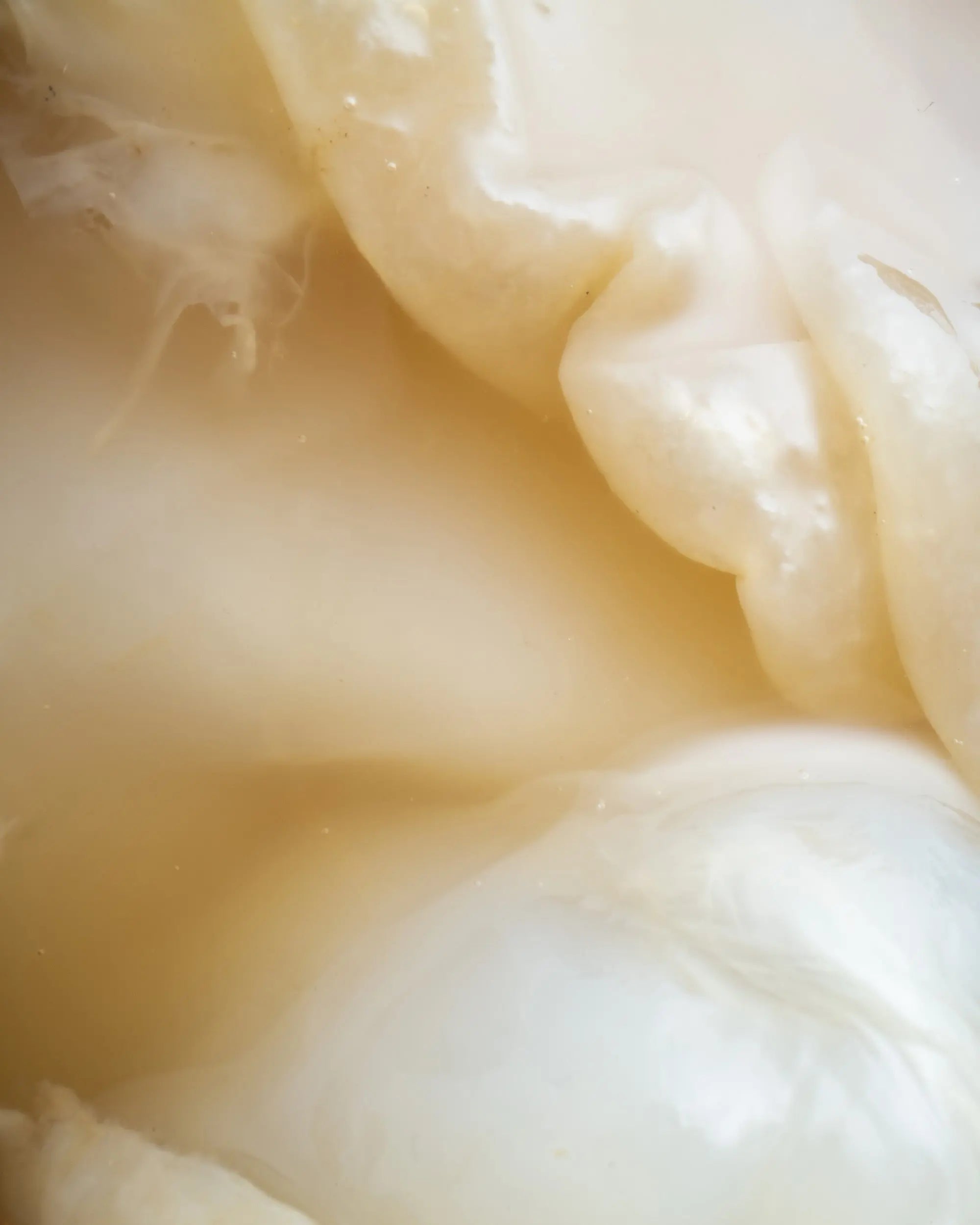 Kombucha Gesund