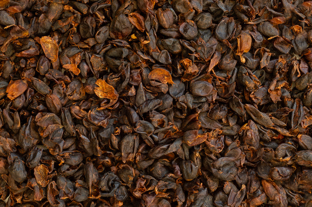 Cáscara, the dried husk of the coffee cherry. Flavor of our BOUCHE CASCARAH Kombucha.