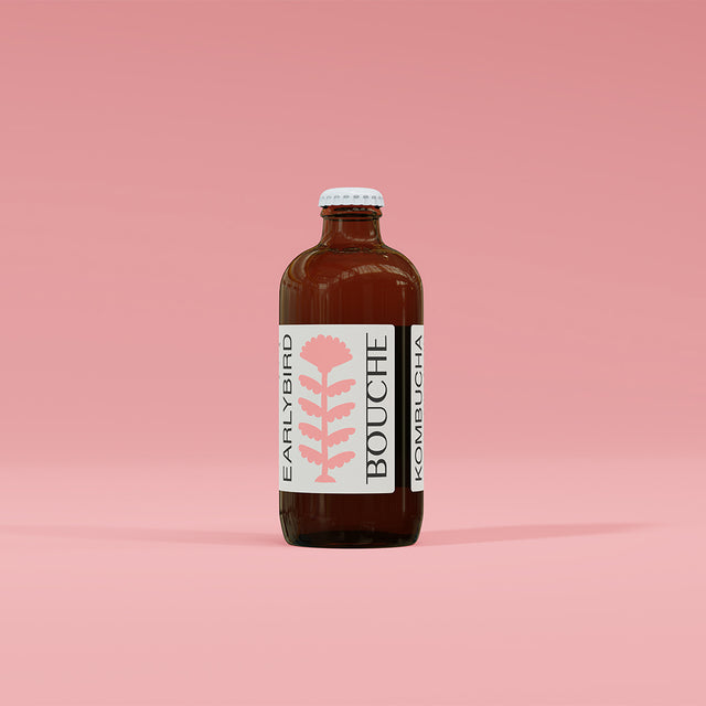 kombucha kaufen