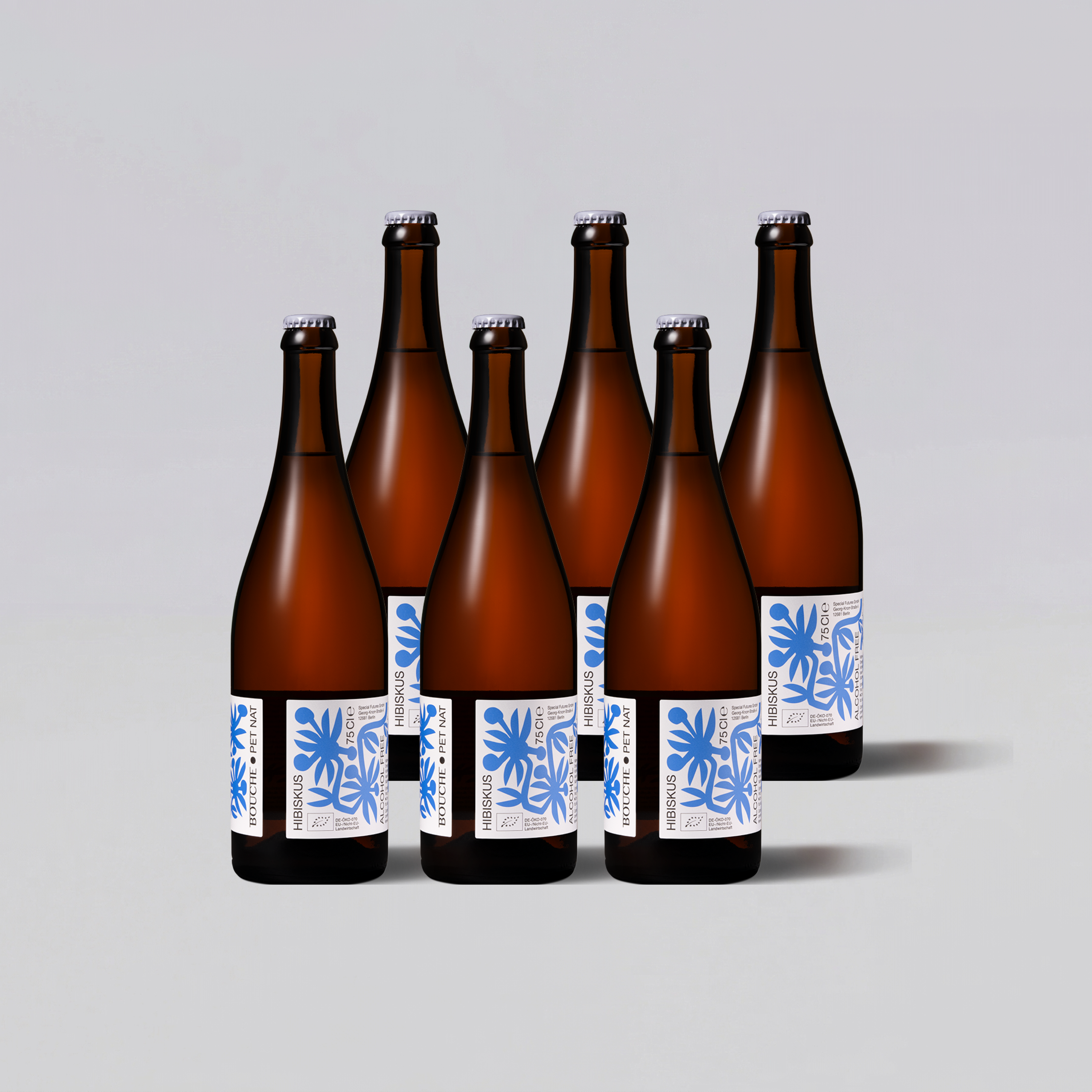 HIBISKUS • PET NAT • 6 x 0,75