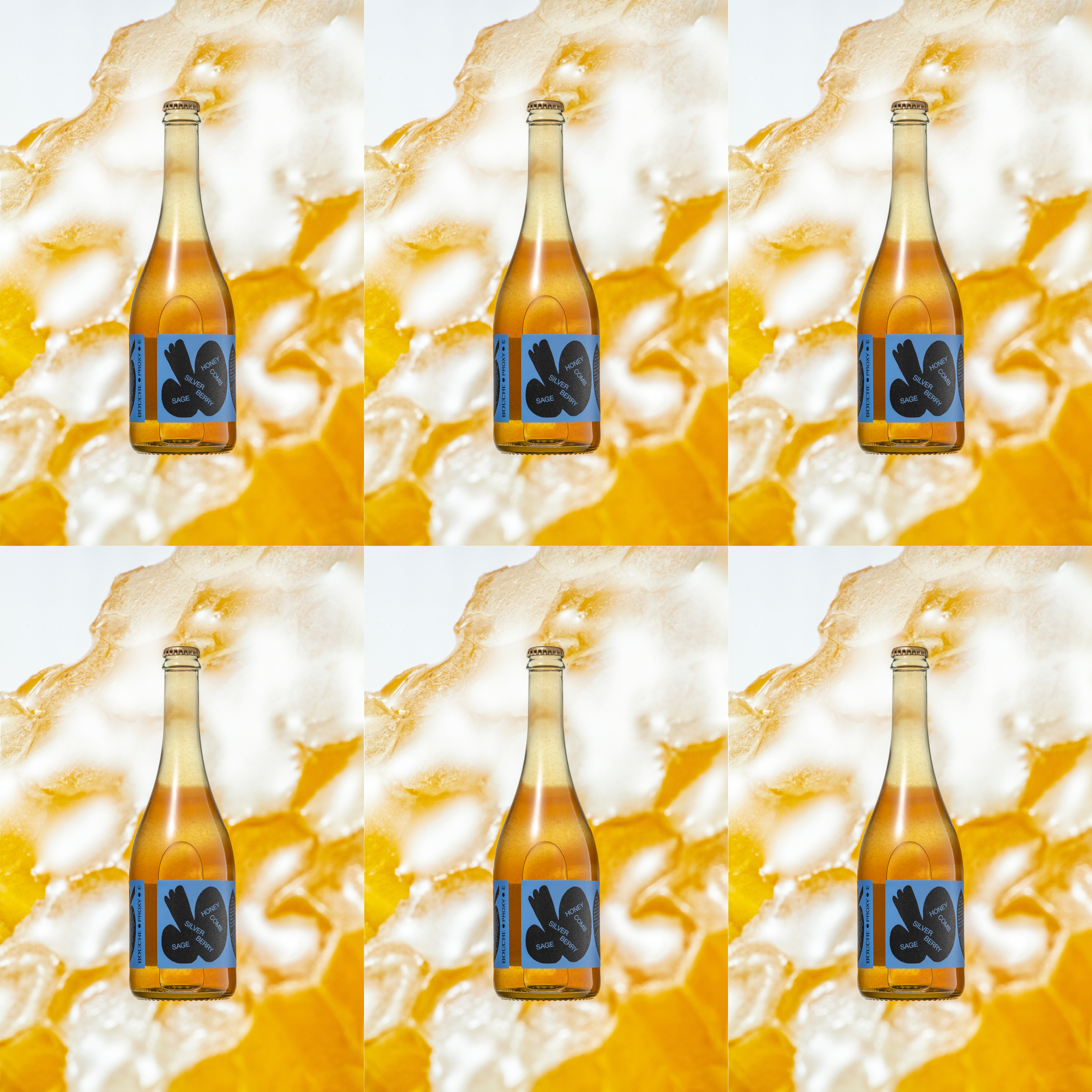 PROXY • E • 0,75 • FIZZY • 6 x 0,75