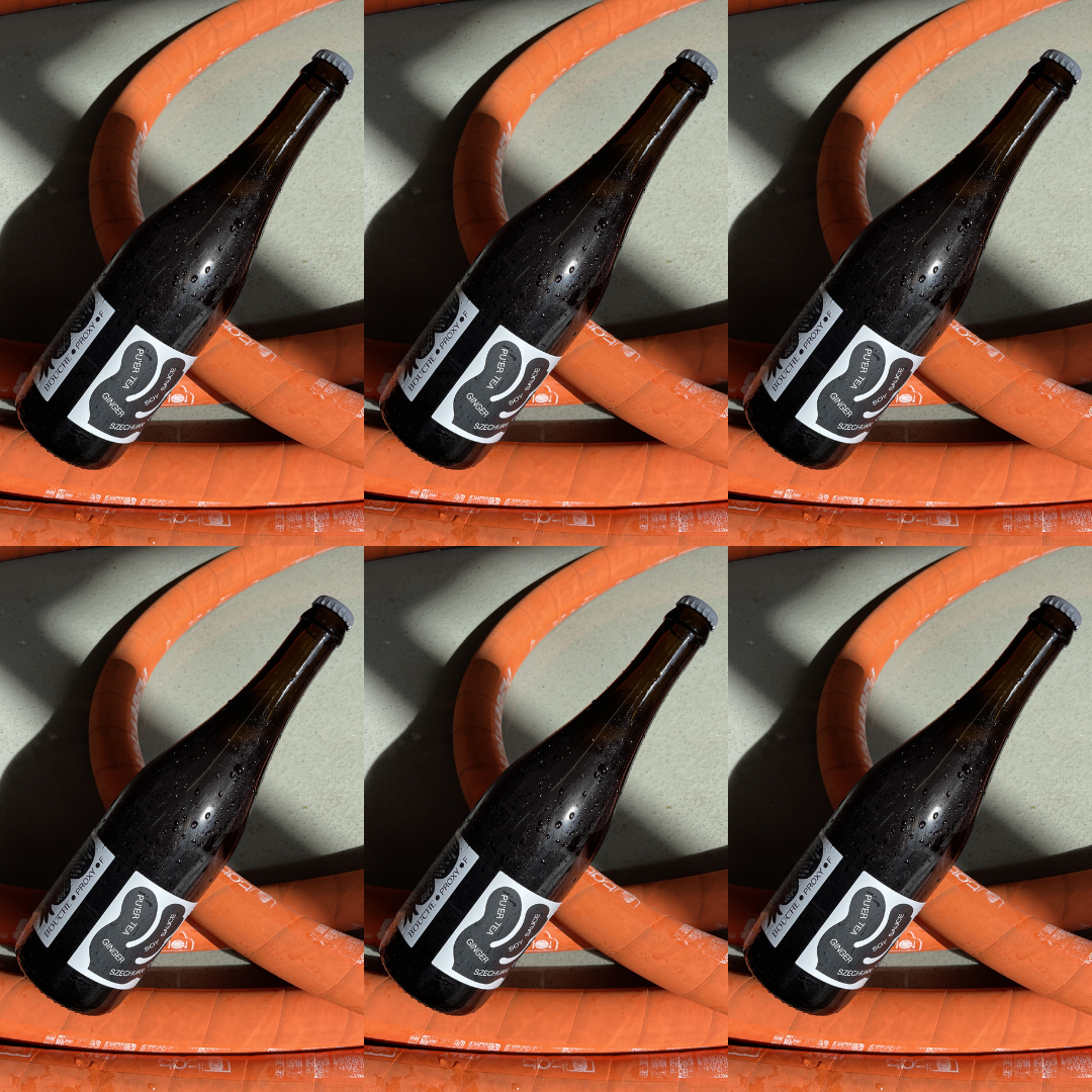 PROXY • F • 0,75 • FIZZY • 6 x 0,75